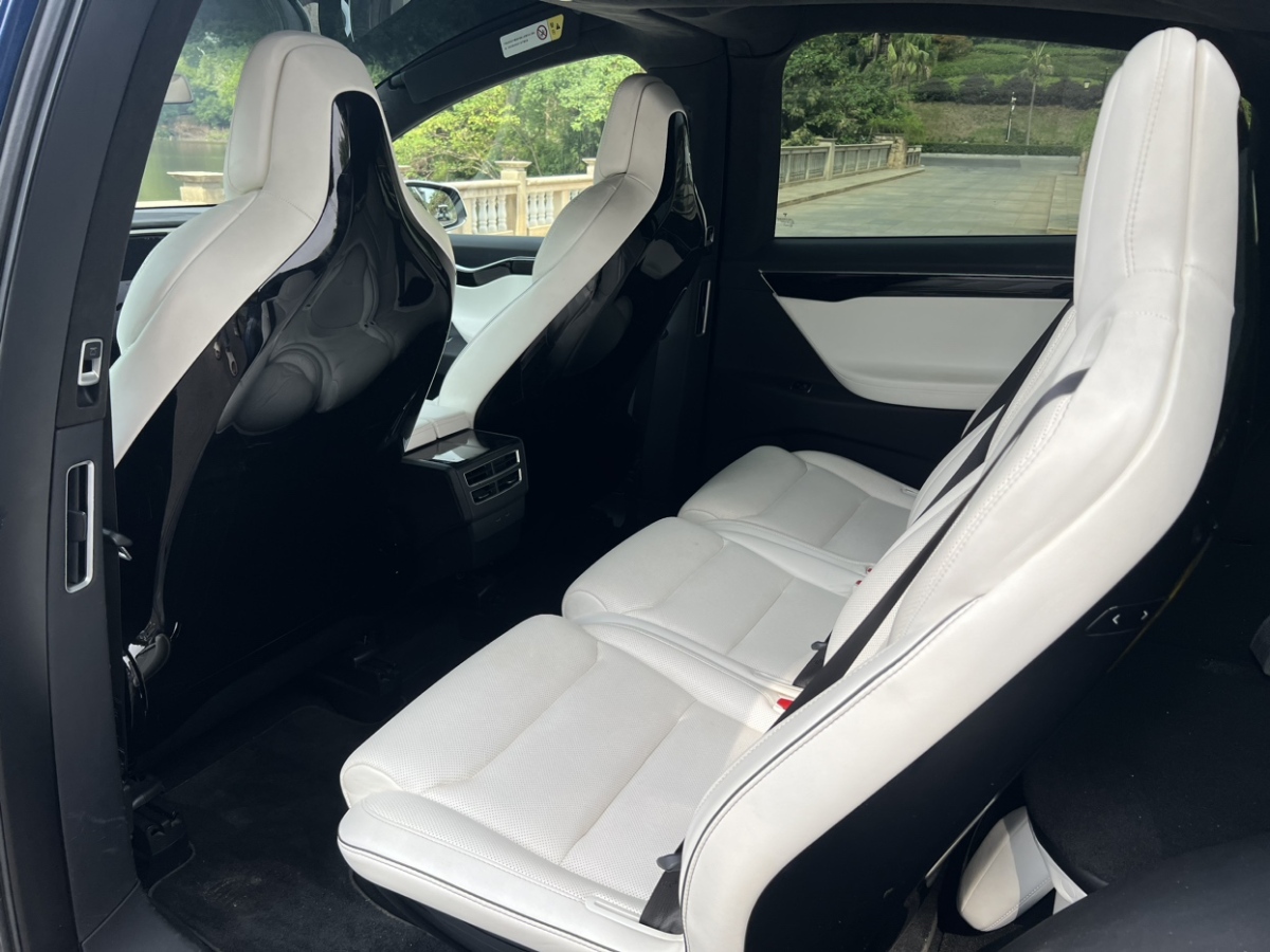 特斯拉 Model X  2016款 Model X 75D圖片