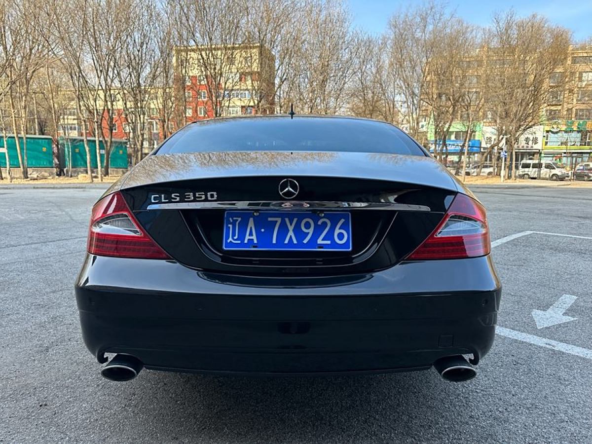 奔馳 奔馳CLS級(jí)  2009款 CLS 350圖片