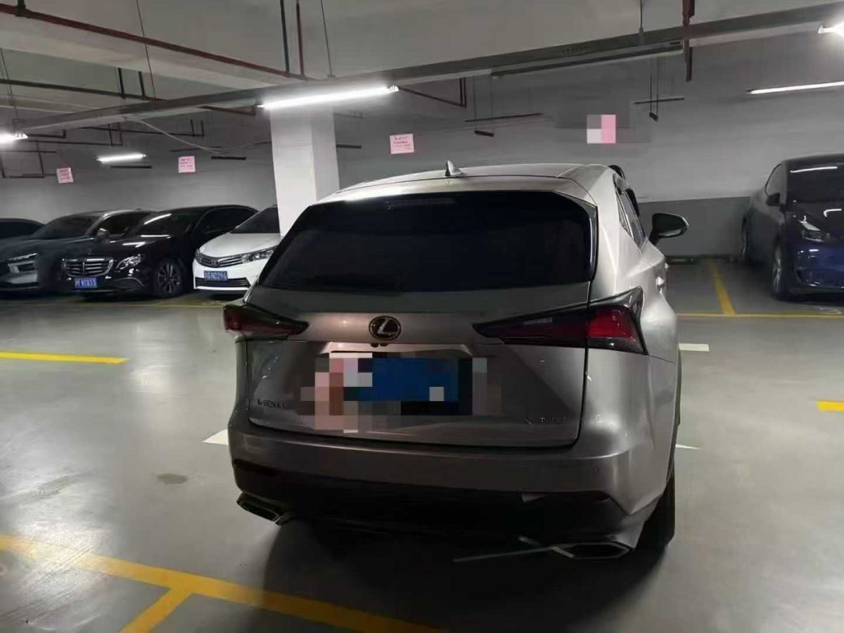 雷克薩斯 NX  2019款 300h 百萬紀念限量版 國VI圖片