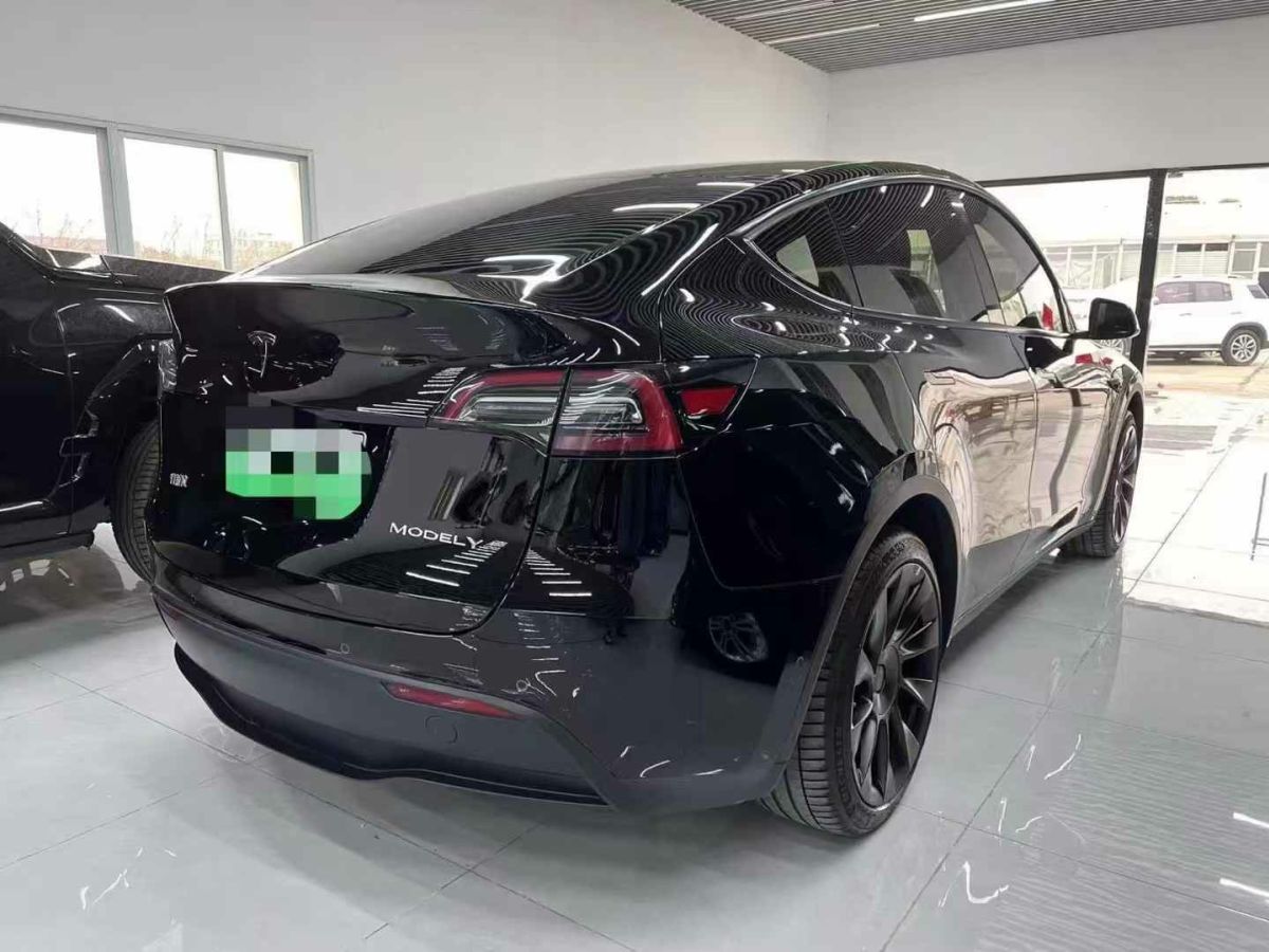 特斯拉 Model S  2023款 三電機全輪驅(qū)動 Plaid版圖片