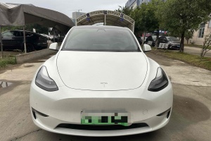 Model Y 特斯拉 长续航焕新版 双电机全轮驱动