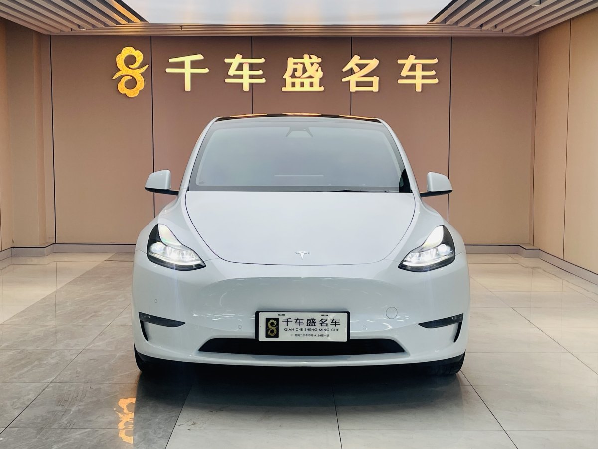 特斯拉 Model Y  2021款 標(biāo)準(zhǔn)續(xù)航后驅(qū)版圖片