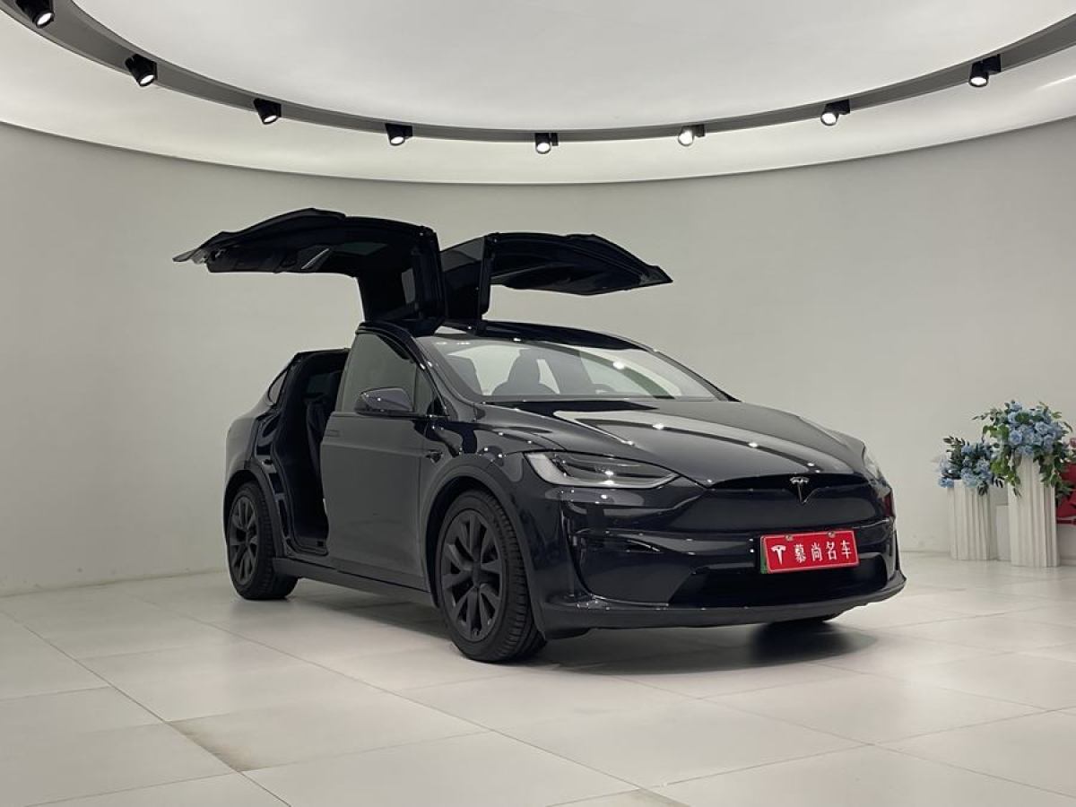 特斯拉 Model X  2023款 雙電機(jī)全輪驅(qū)動(dòng)版圖片