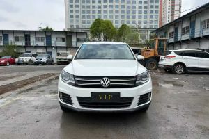 途歡 大眾 2.0T 高配型