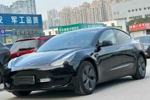 Model S 特斯拉 三電機(jī)全輪驅(qū)動(dòng) Plaid版