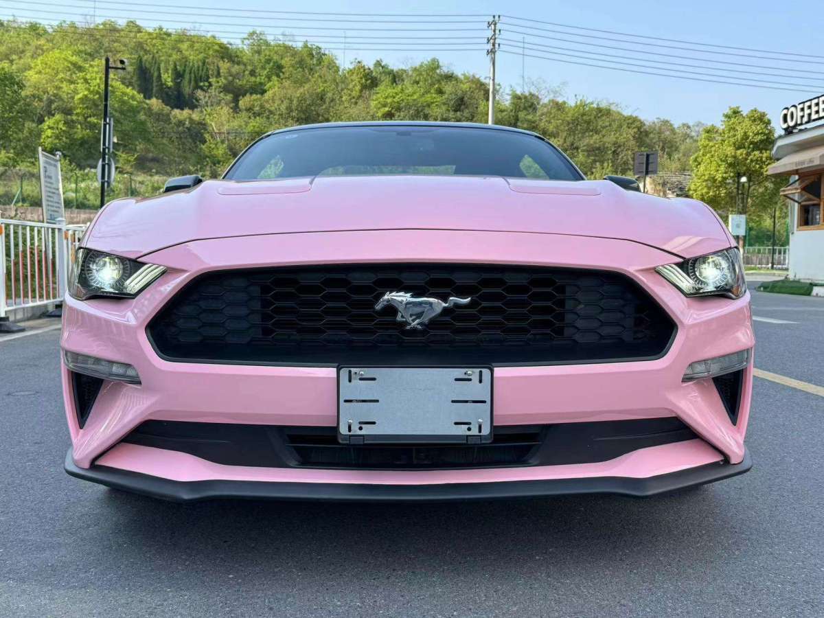 福特 Mustang  2020款 2.3L EcoBoost图片