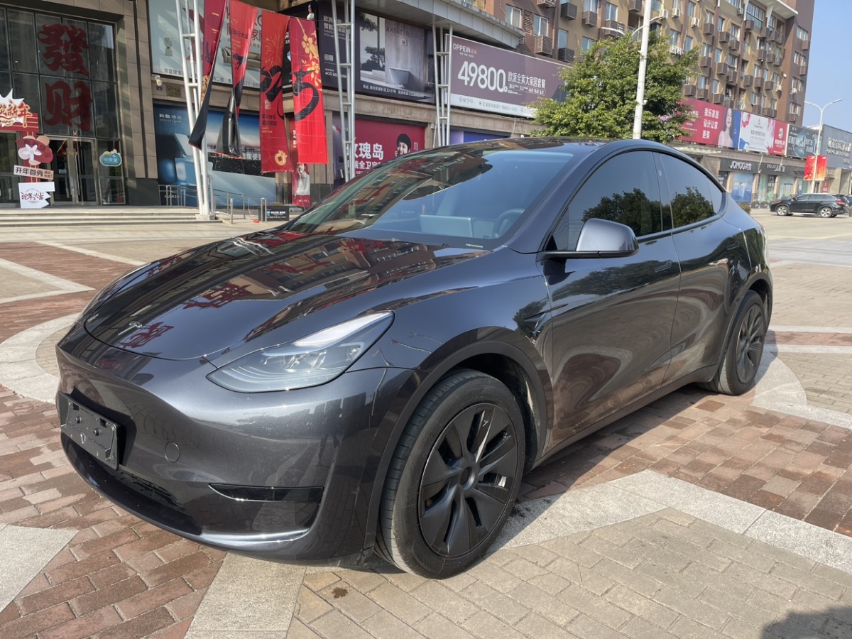 特斯拉 Model Y  2024款 后輪驅(qū)動(dòng)版圖片