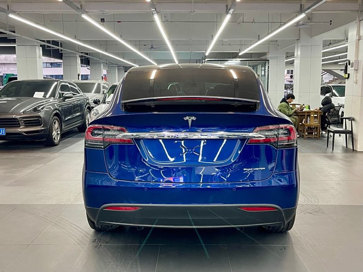 特斯拉 Model X  2019款 長(zhǎng)續(xù)航版圖片