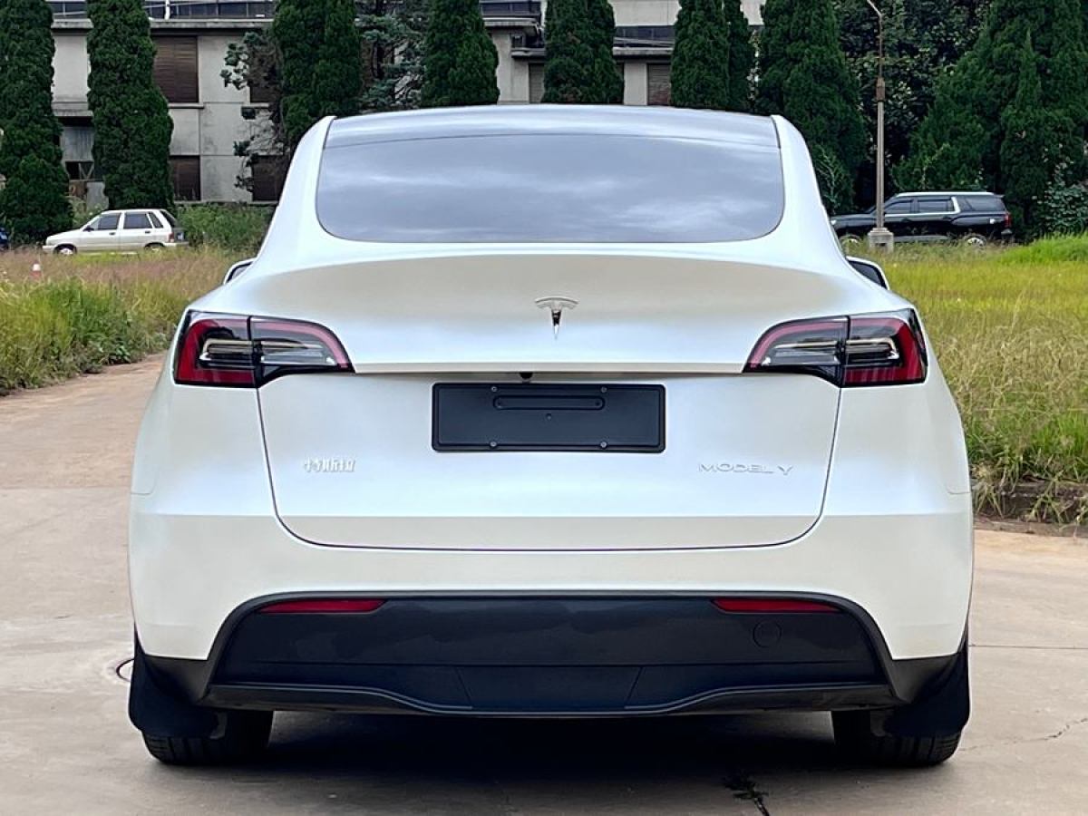 特斯拉 Model Y  2020款 改款 長(zhǎng)續(xù)航后輪驅(qū)動(dòng)版圖片