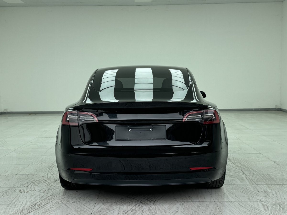 特斯拉 Model 3  2019款 標(biāo)準(zhǔn)續(xù)航后驅(qū)升級(jí)版圖片