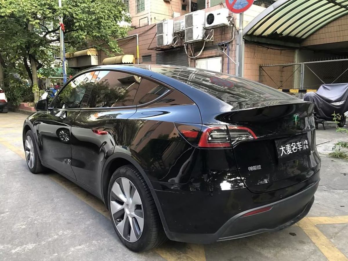 特斯拉 Model Y  2020款 改款 長(zhǎng)續(xù)航后輪驅(qū)動(dòng)版圖片