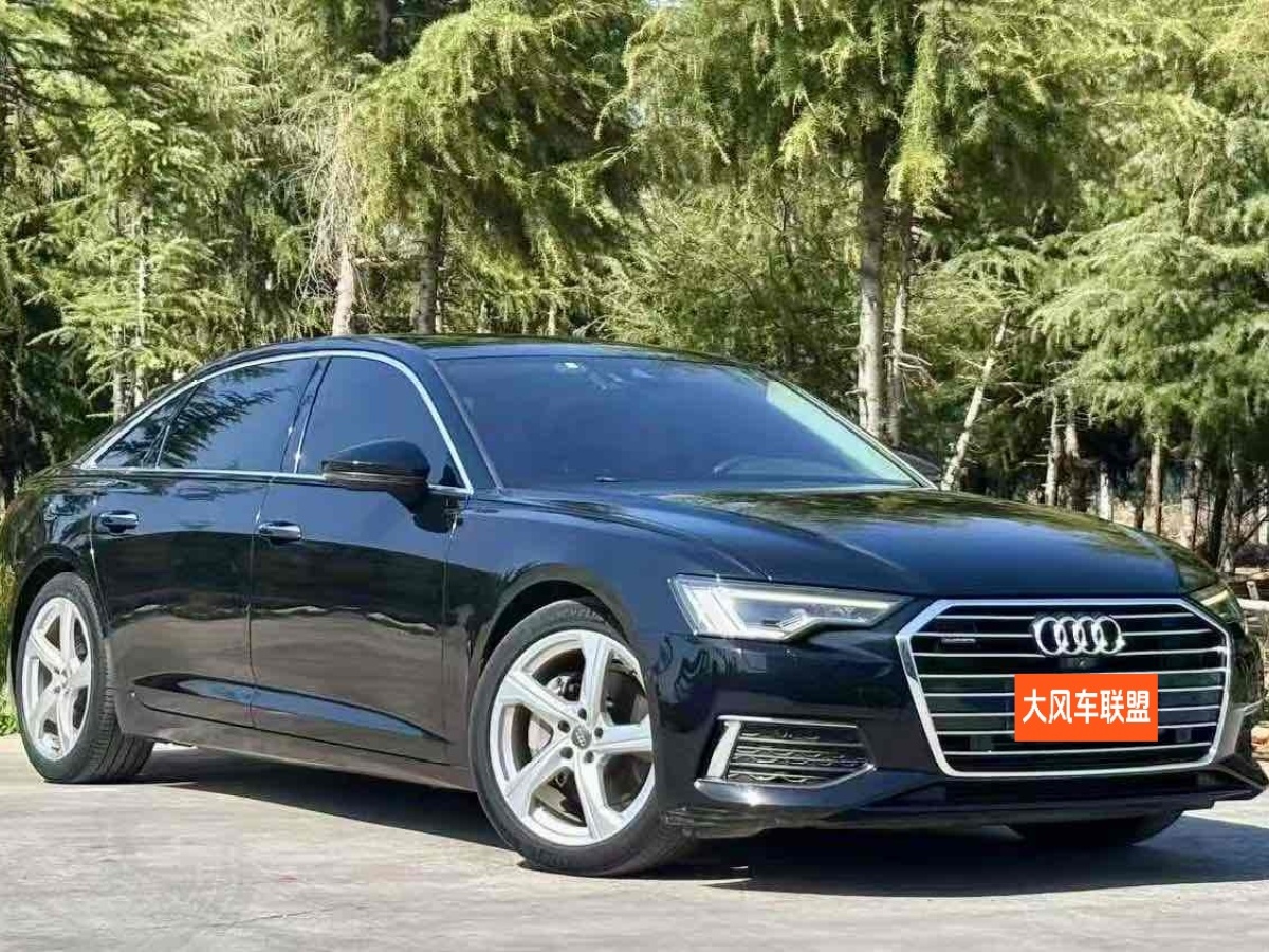 奧迪 奧迪A6L  2019款 45 TFSI quattro 臻選致雅型圖片