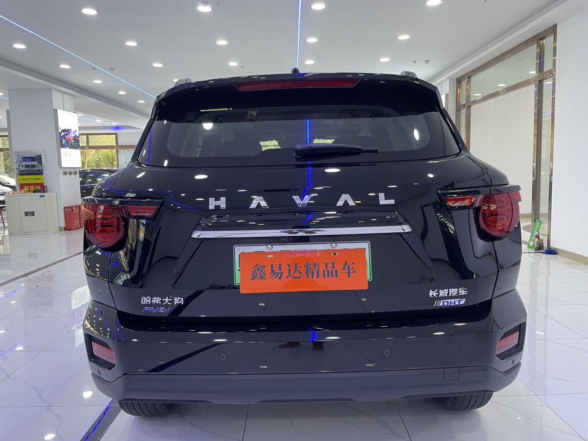 哈弗 哈弗二代大狗新能源  2023款 DHT-PHEV 105km 潮電版Plus圖片