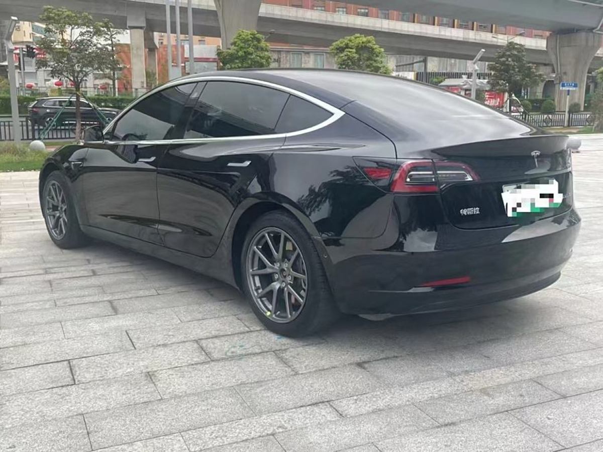 特斯拉 Model 3  2020款 改款 標(biāo)準(zhǔn)續(xù)航后驅(qū)升級(jí)版圖片