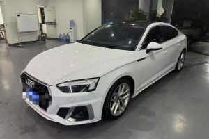 奧迪SQ5 奧迪 3.0 TFSI quattro