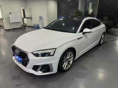 2021年12月 奧迪 奧迪SQ5(進口) 3.0 TFSI quattro圖片