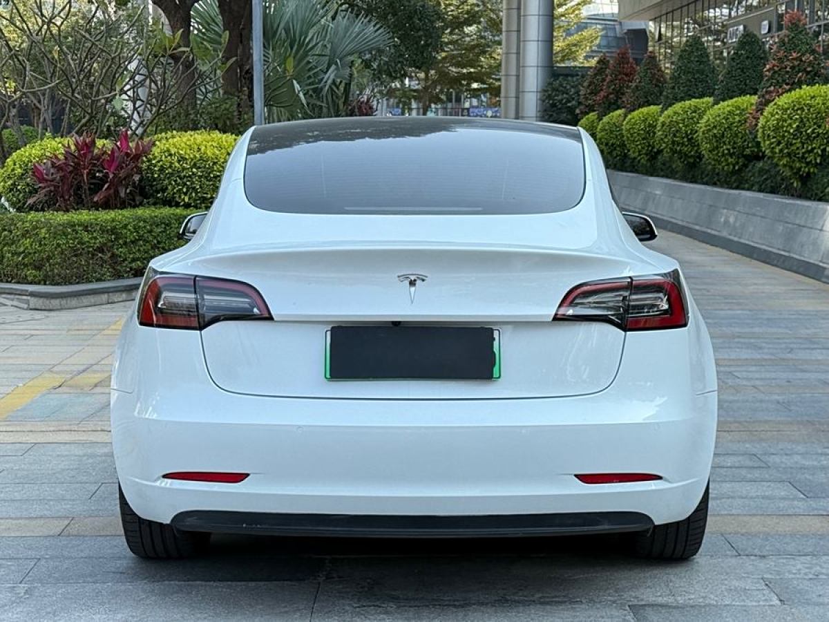 特斯拉 Model 3  2020款 改款 標(biāo)準(zhǔn)續(xù)航后驅(qū)升級版圖片