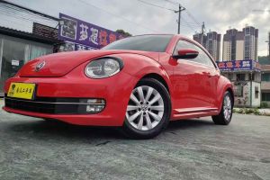 甲殼蟲 大眾 1.2TSI 時(shí)尚型