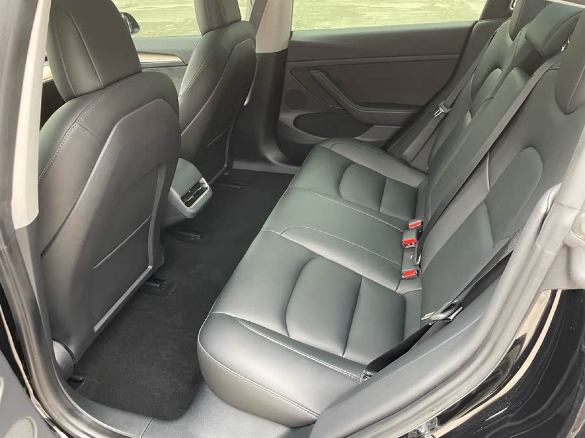 特斯拉 Model 3  2022款 后輪驅動版圖片
