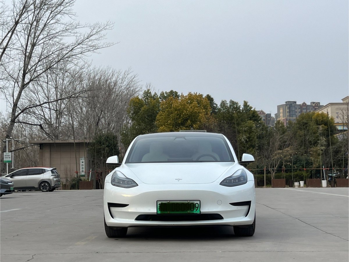 特斯拉 Model 3  2019款 標準續(xù)航后驅升級版圖片