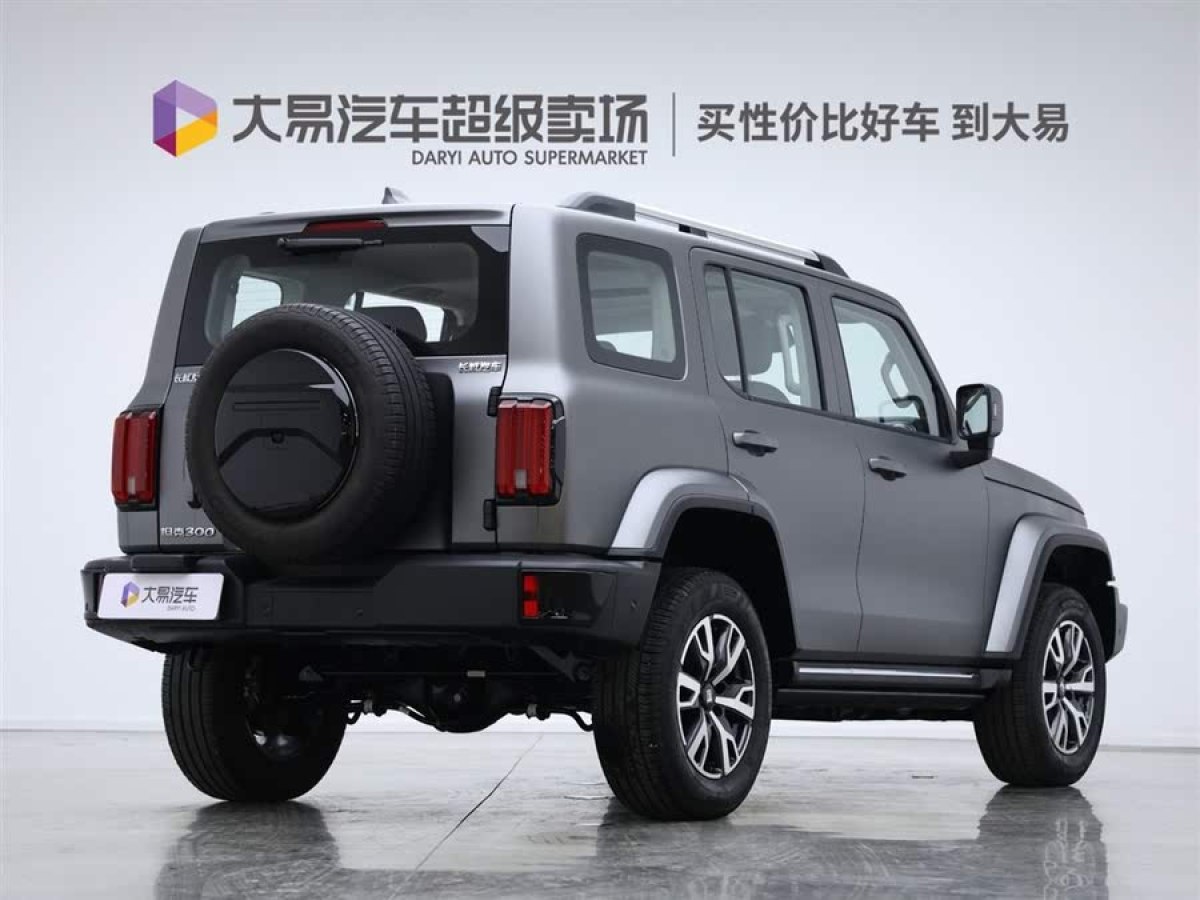 坦克 坦克300  2024款 2.0T 穿越者圖片