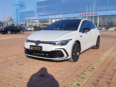 2022年7月 大众 高尔夫 280TSI DSG R-Line图片