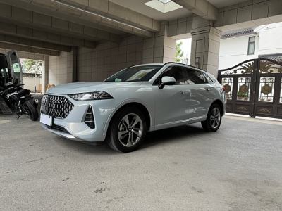 2022年6月 长城 摩卡DHT-PHEV 1.5T 0焦虑性能版图片