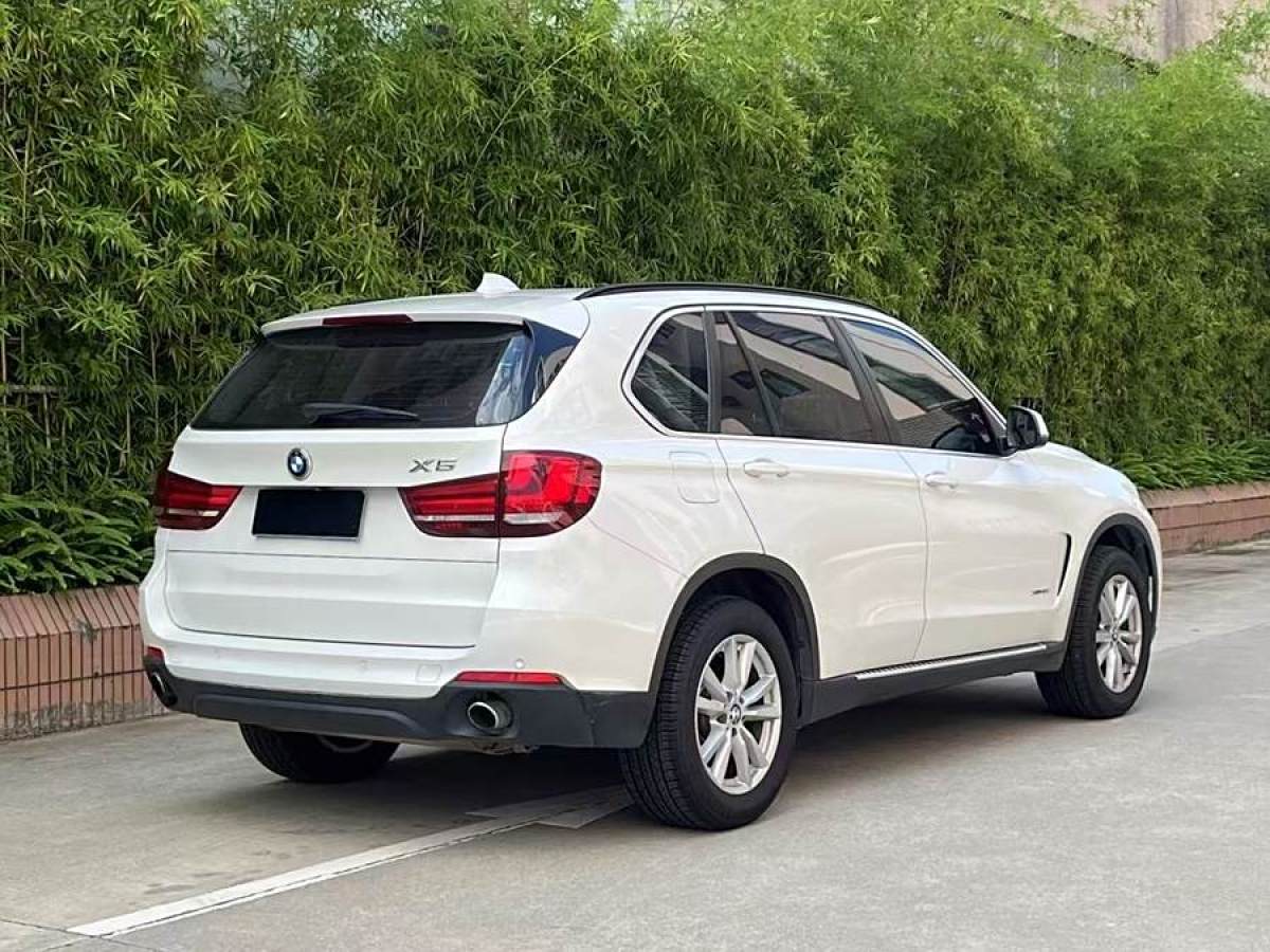 寶馬 寶馬X5  2014款 xDrive35i 領(lǐng)先型圖片