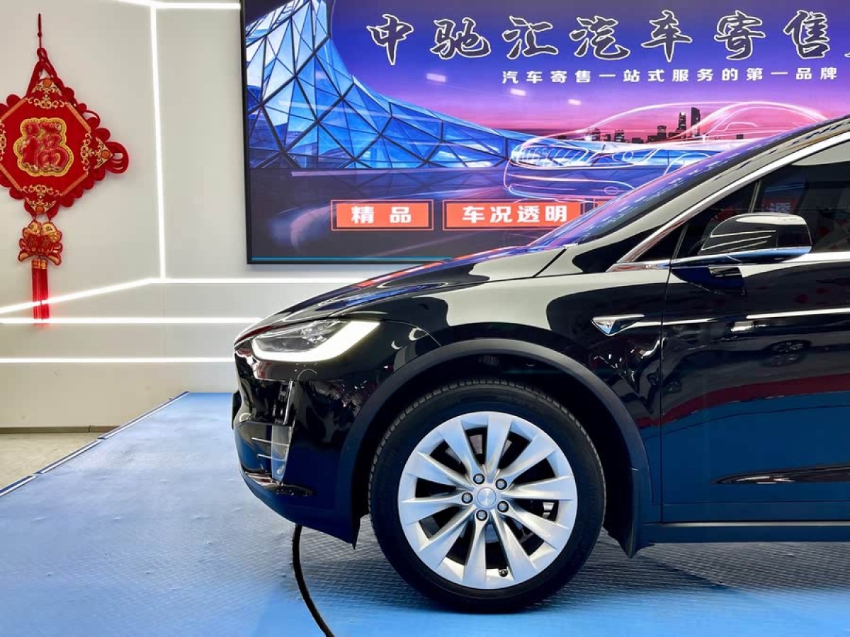 特斯拉 Model X  2017款 Model X 100D 長續(xù)航版圖片