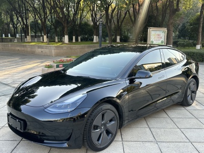 2023年02月 特斯拉 Model 3 后輪驅(qū)動版圖片