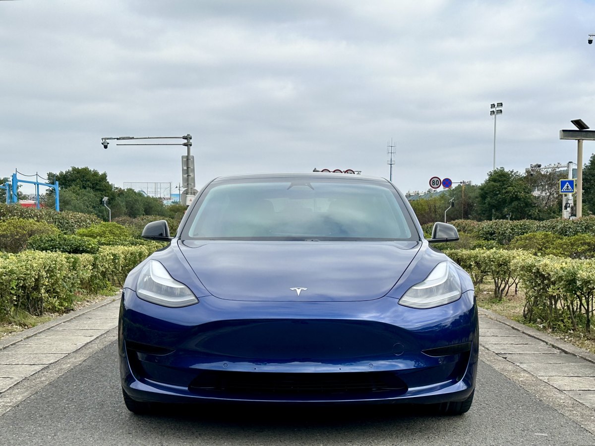 特斯拉 Model 3  2019款 標準續(xù)航后驅升級版圖片