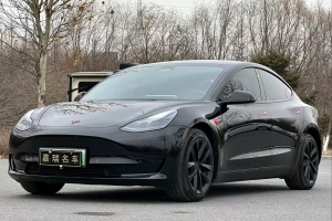 Model 3 特斯拉 后轮驱动版