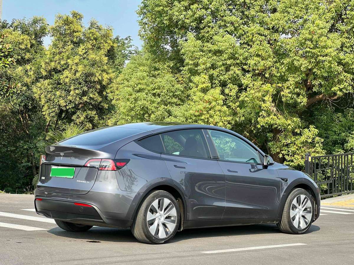 特斯拉 Model Y  2021款 改款 標(biāo)準(zhǔn)續(xù)航后驅(qū)升級版圖片