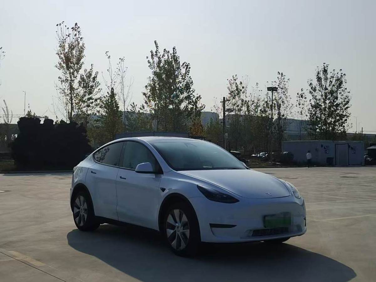 特斯拉 Model 3  2022款 后輪驅(qū)動版圖片