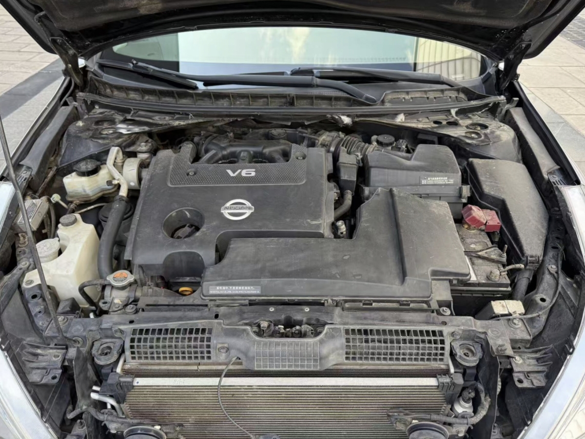 日產(chǎn) 天籟  2010款 2.5L XL周年紀念版圖片