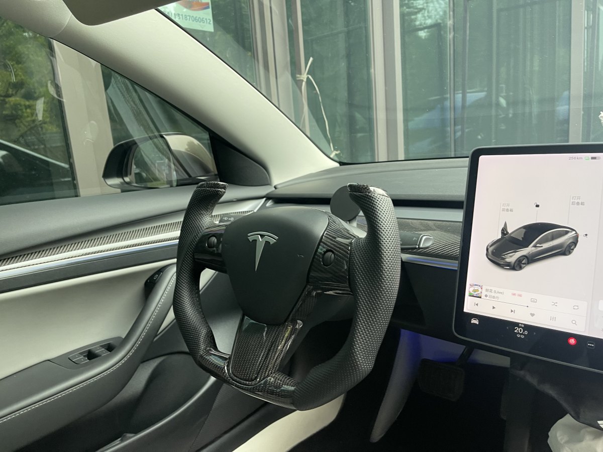 特斯拉 Model 3  2019款 標(biāo)準(zhǔn)續(xù)航后驅(qū)升級版圖片