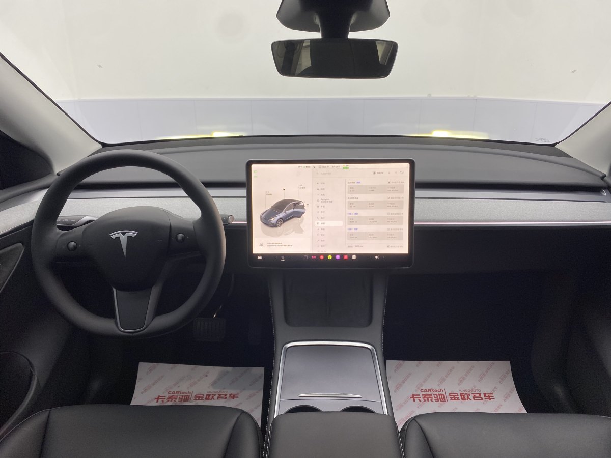 特斯拉 Model Y  2020款 改款 长续航后轮驱动版图片