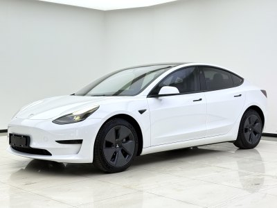 2022年4月 特斯拉 Model Y 改款 后輪驅動版圖片