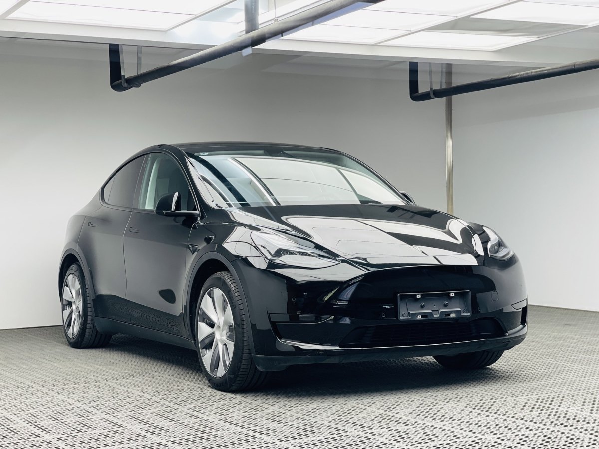 特斯拉 Model Y  2021款 改款 標(biāo)準(zhǔn)續(xù)航后驅(qū)升級版圖片