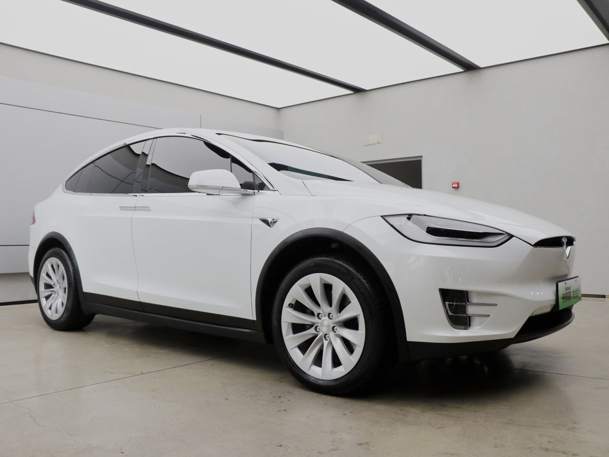 2020年10月特斯拉 Model X  2020款 長續(xù)航升級版