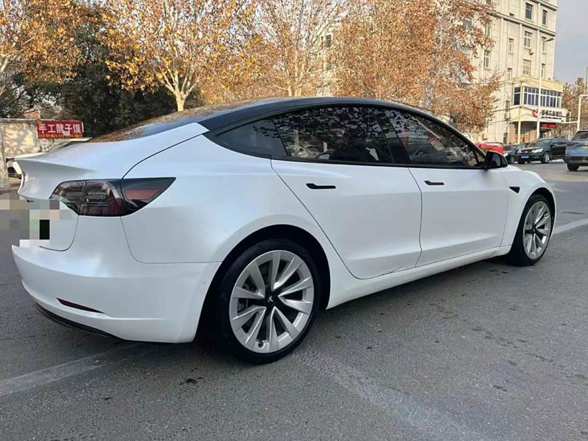 特斯拉 Model 3  2021款 改款 標(biāo)準(zhǔn)續(xù)航后驅(qū)升級(jí)版圖片