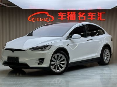 2017年1月 特斯拉 Model X Model X 75D圖片