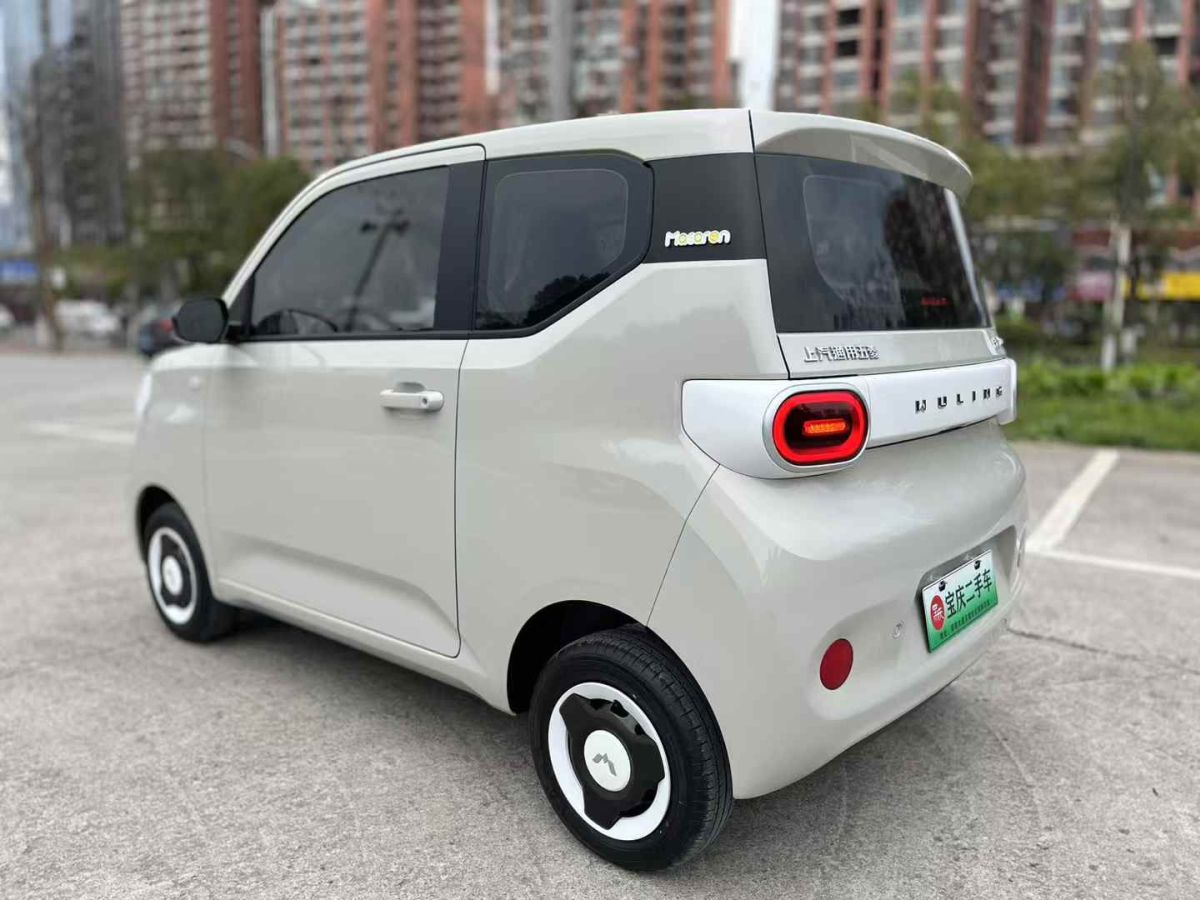 五菱 菱勢(shì)黃金小卡  2025款 倉(cāng)柵 頂配版圖片
