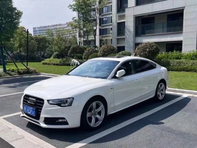 2017年04月 奧迪 奧迪A5(進(jìn)口) 改款 Sportback 45 TFSI 舒適型圖片