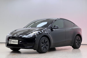 Model Y 特斯拉 长续航焕新版 双电机全轮驱动