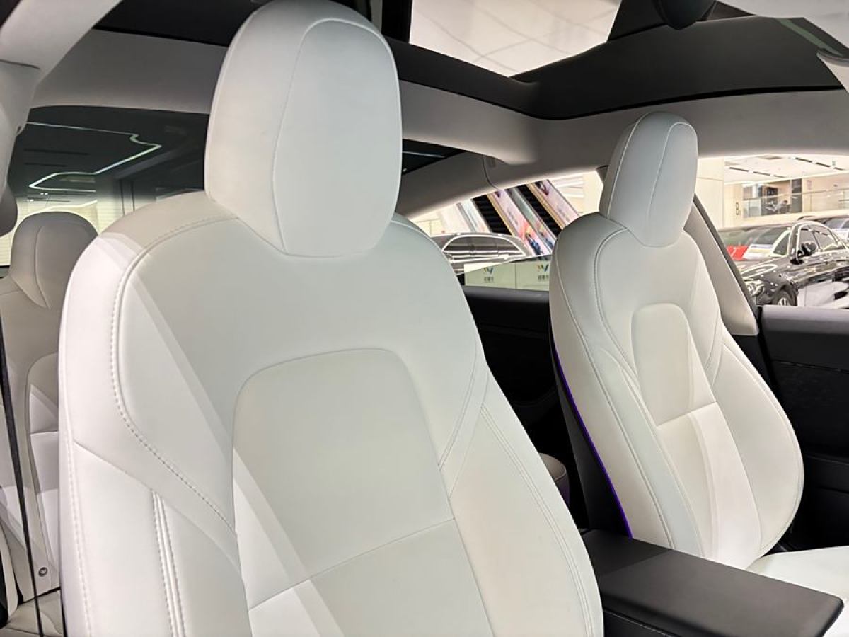 特斯拉 Model 3  2021款 改款 Performance高性能全輪驅(qū)動版圖片