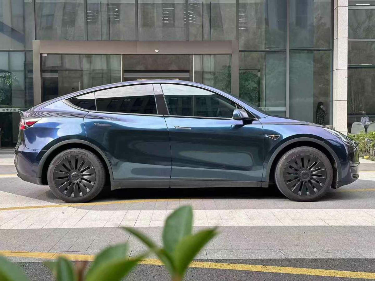 特斯拉 Model S  2023款 三電機(jī)全輪驅(qū)動(dòng) Plaid版圖片