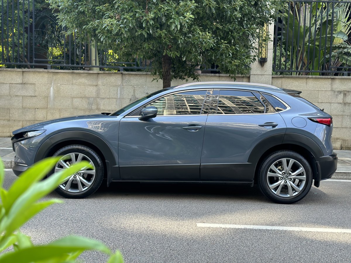 馬自達(dá) CX-30  2020款 2.0L 自動嘉悅型圖片