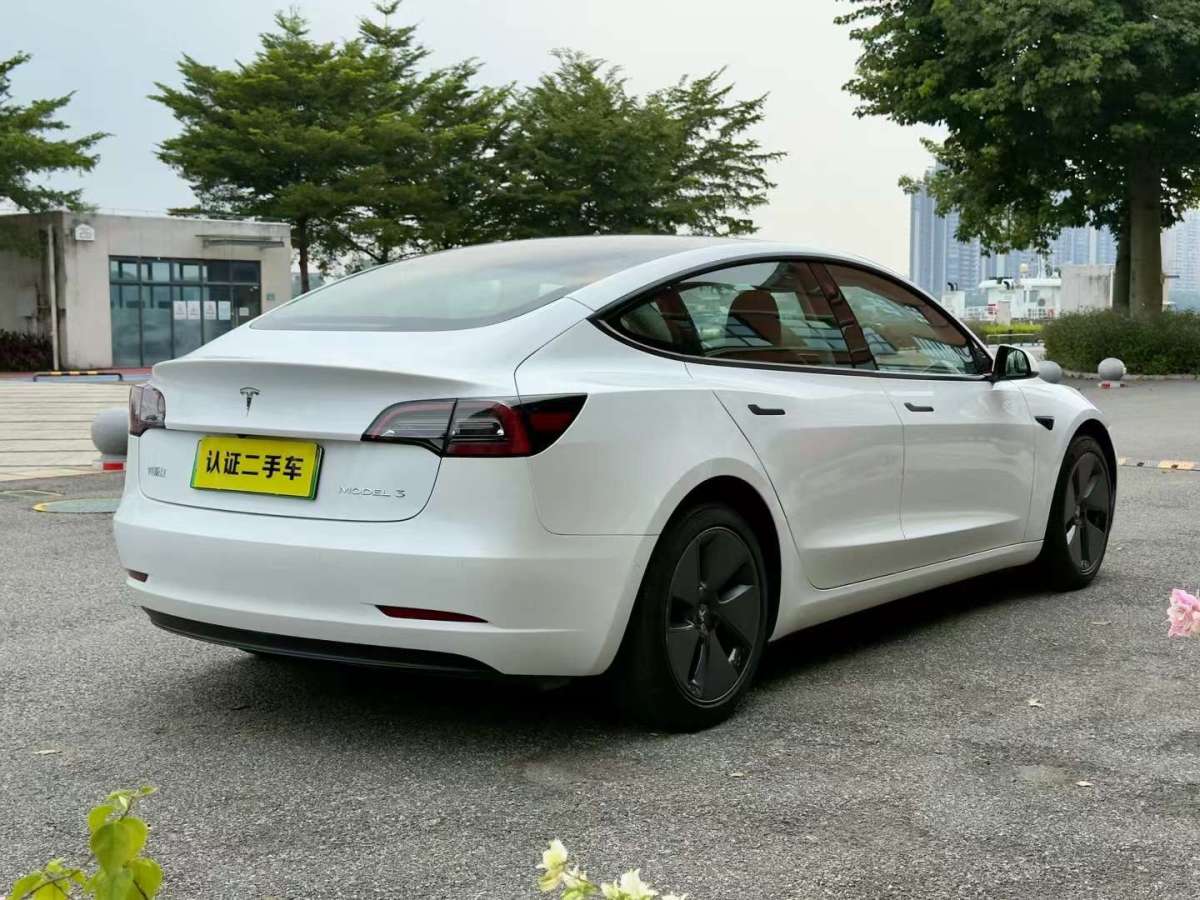 特斯拉 Model 3  2019款 標準續(xù)航后驅升級版圖片