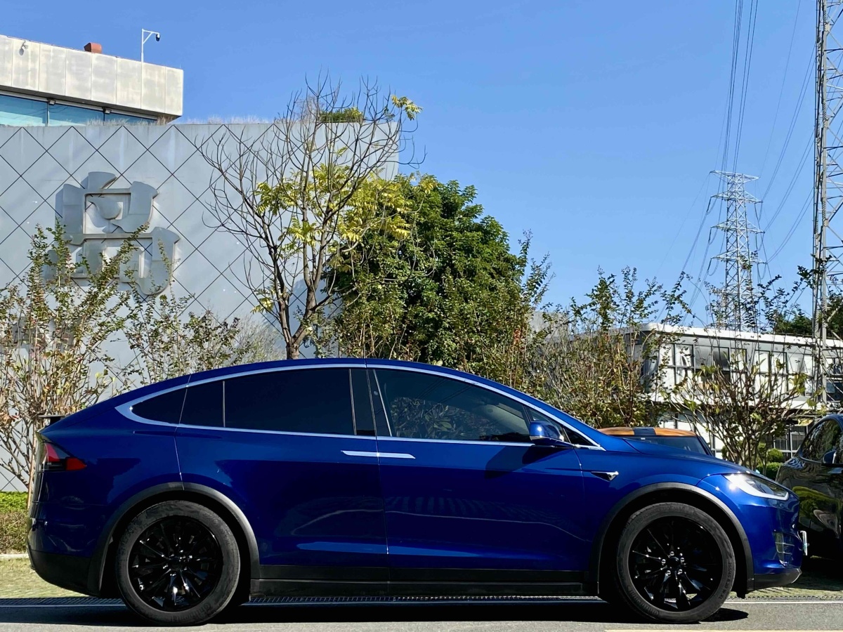 特斯拉 Model X  2017款 Model X 100D 長(zhǎng)續(xù)航版圖片